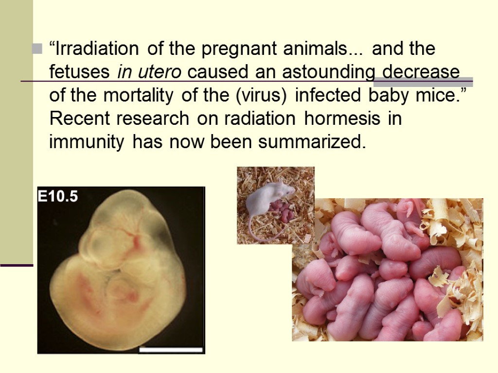“Irradiation of the pregnant animals... and the fetuses in utero caused an astounding decrease